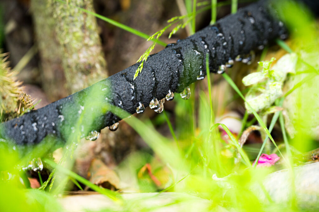 How to Prevent Foundation Damage with Proper Watering Techniques